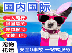 永兴国际宠物托运 【国